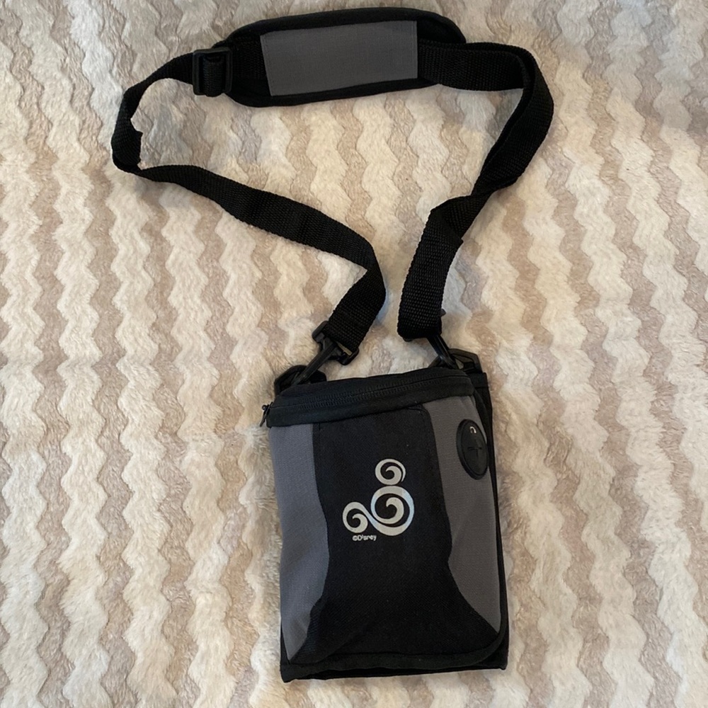 Disney Park Bag